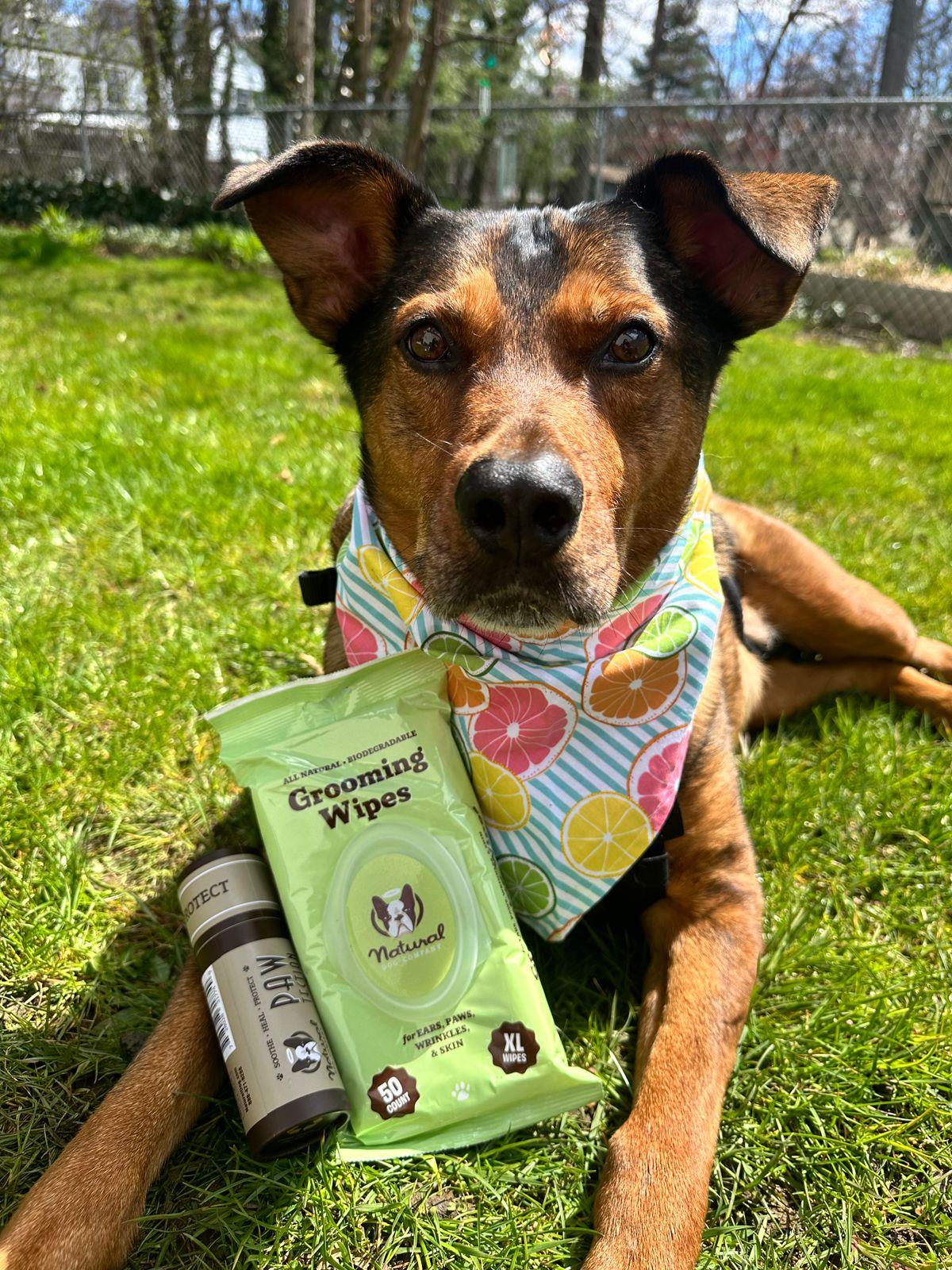 Grooming Natural Pawz Dog Food Natural Dog Company Grooming Wipes