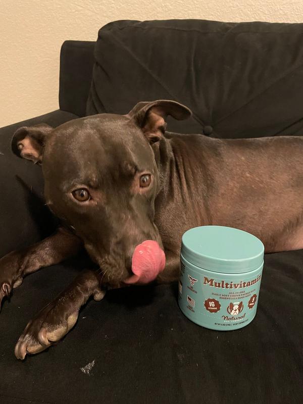 Natural Dog Company Multivitamin Chews for Dogs, 10 oz., Count of 90