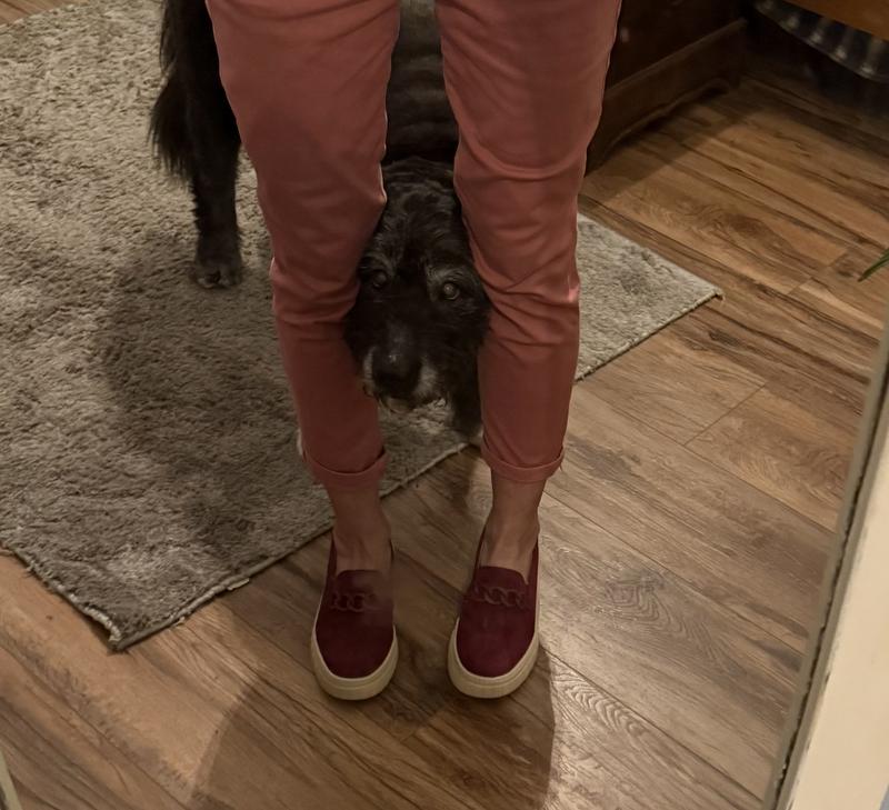 Even my doodle LOVES my shoes!