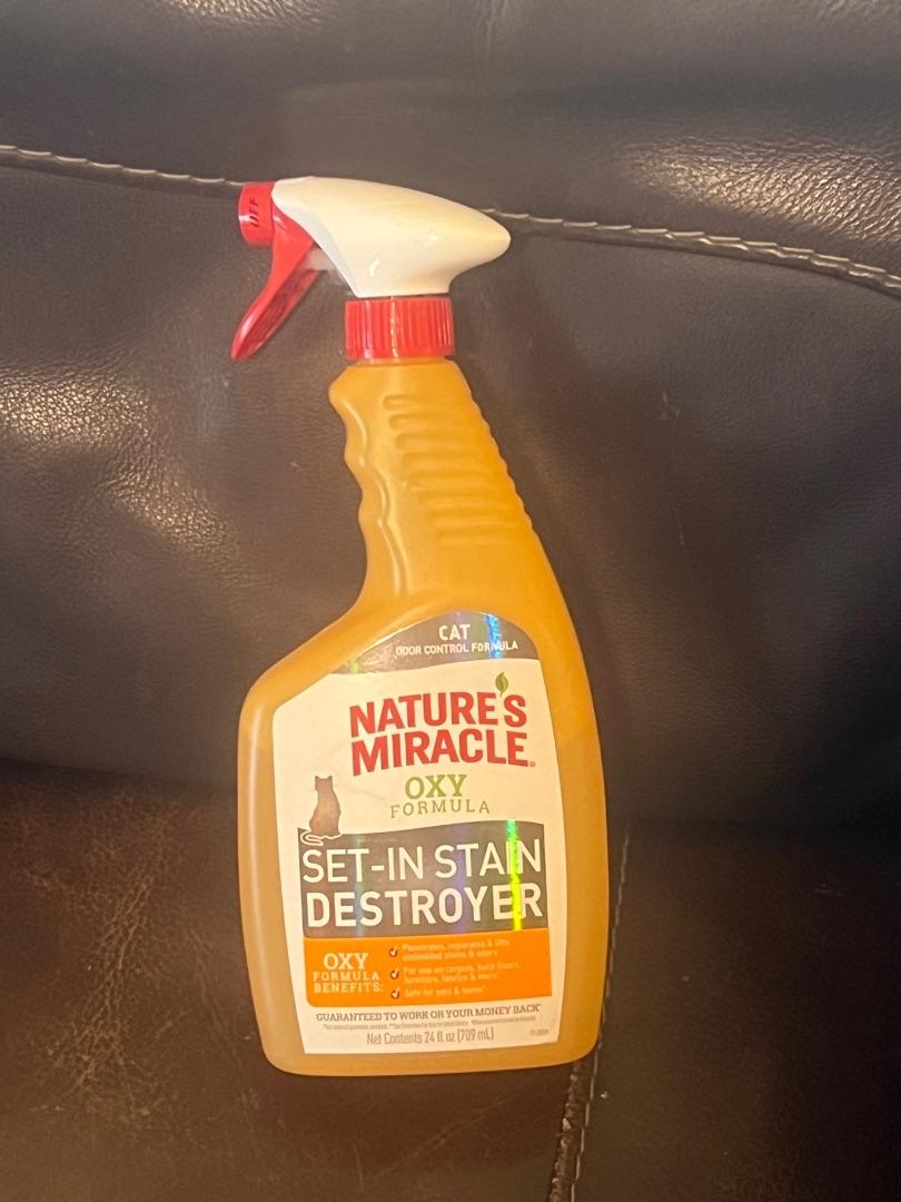 Nature s Miracle Just For Cats Set In Stain Destroyer Oxy Formula With Orange Scent 1 Gallon Petco