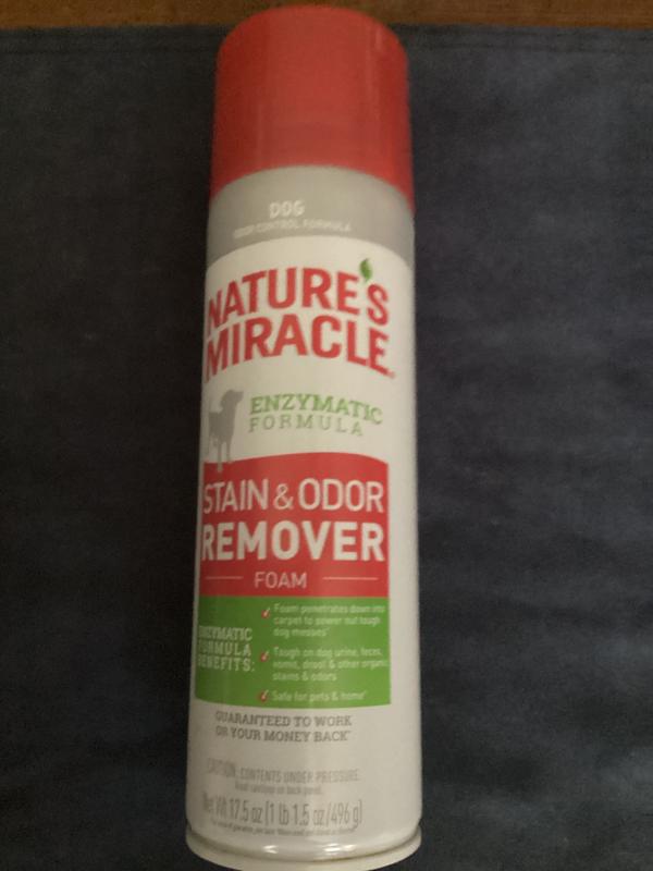 Nature's miracle stain outlet and odor remover foam