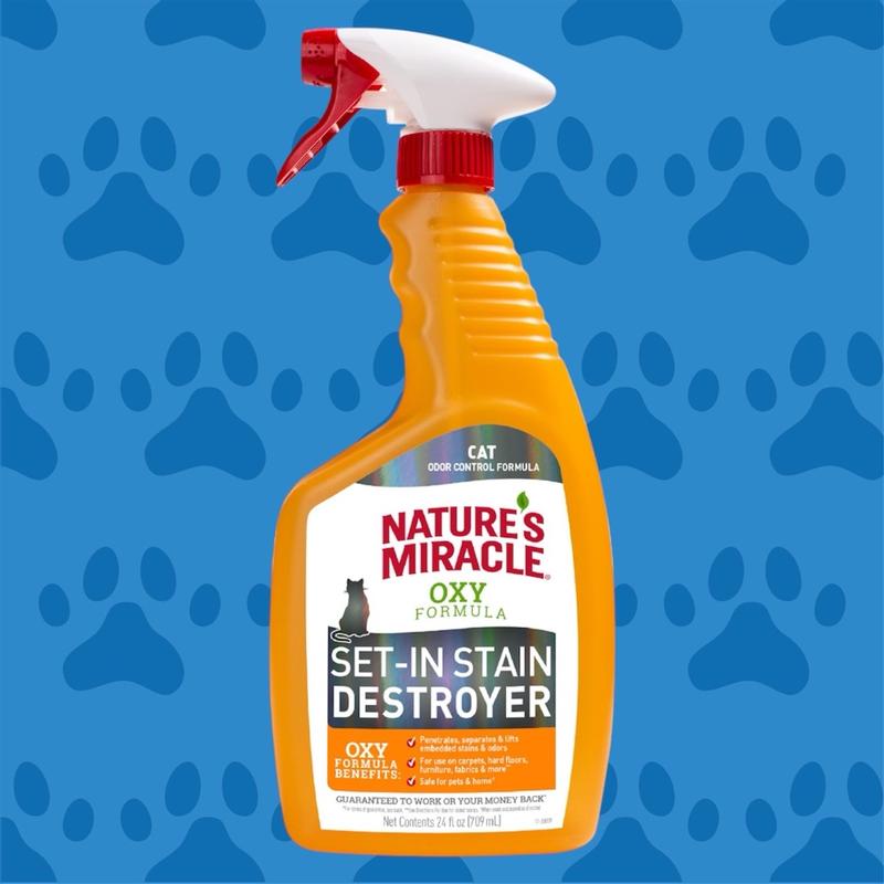 Nature s Miracle Just For Cats Set In Stain Destroyer Oxy Formula With Orange Scent 1 Gallon Petco