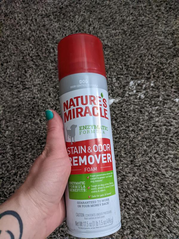 Nature's miracle stain clearance and odor remover foam