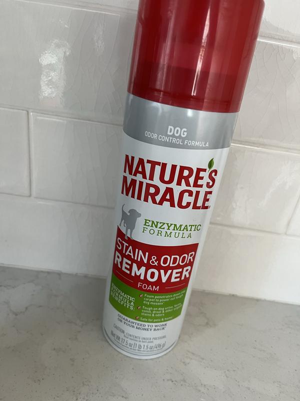 Natures Miracle Dog Stain Odor Remover Foam 17.5 oz Meijer