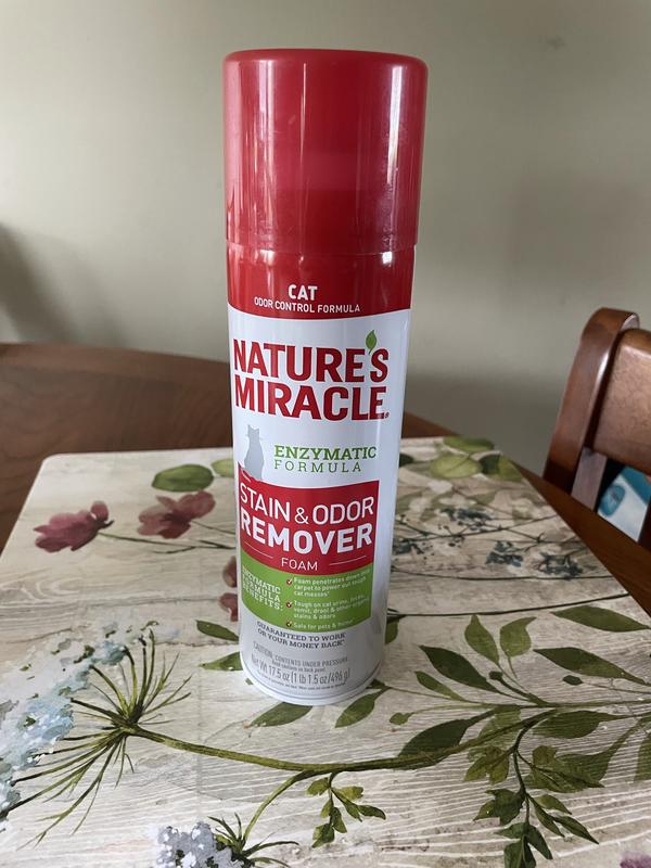 Nature's miracle cat outlet stain and odor remover