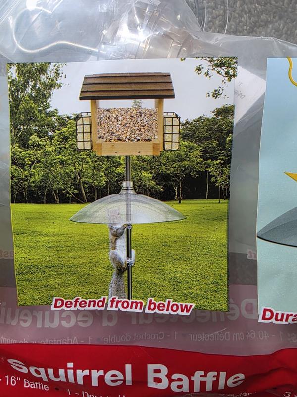 Review photo 2.