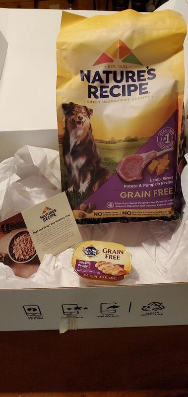 Nature s Recipe Grain Free Chicken Recipe In Broth Wet Dog Food