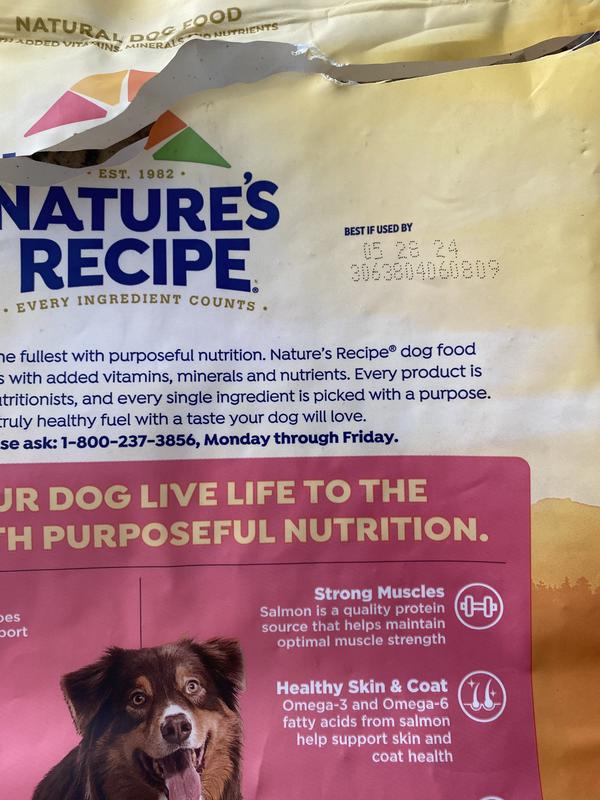 Pumpkin Recipe Dry Dog Food