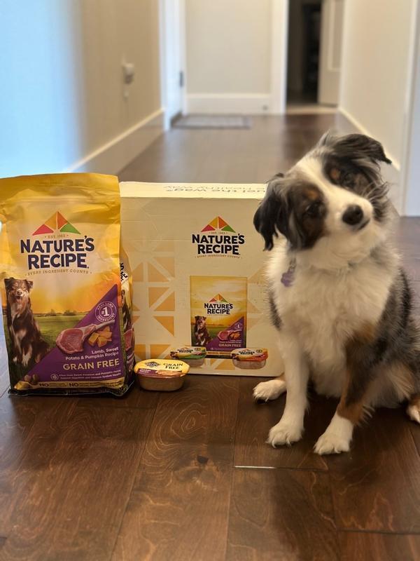 Nature's recipe grain free hotsell puppy review