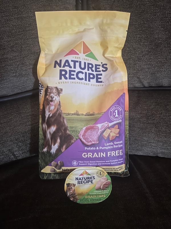 Is nature's recipe outlet dog food safe