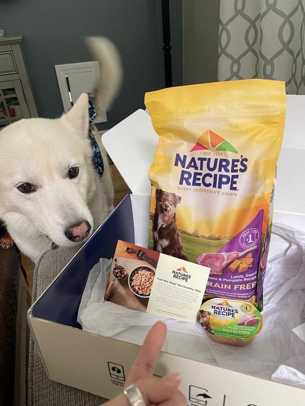 Nature's recipe best sale for cats