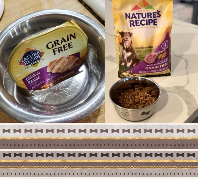 Nature's recipe cat food 2024 wet