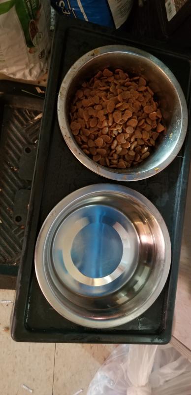 prime blends nature's recipe