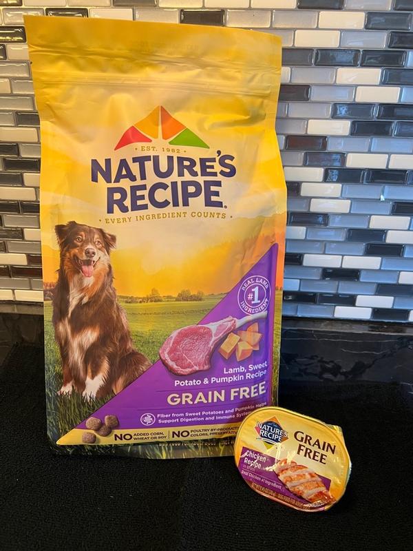 Nature's recipe grain 2025 free puppy review