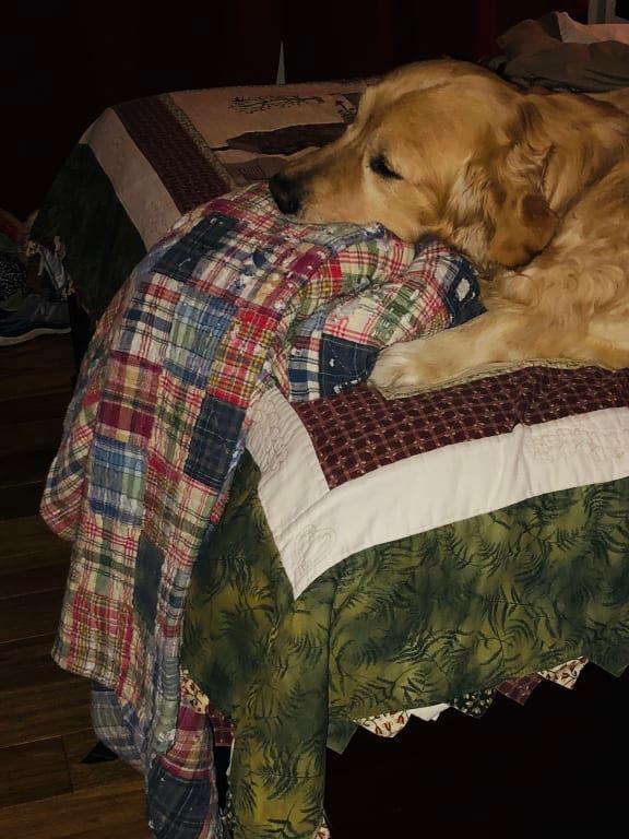 Timeless Old Quilt
