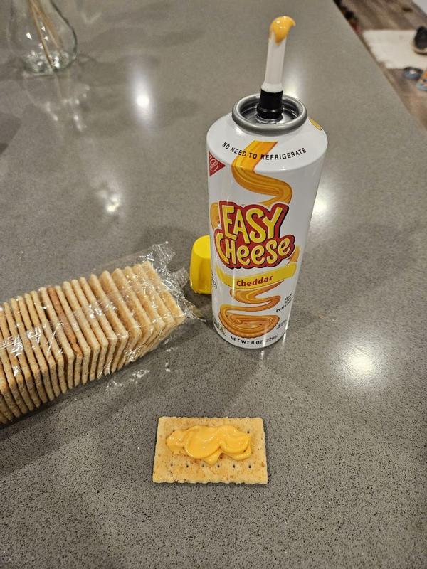 Easy Cheese Cheddar Can Spray Cheese, 8 oz - Harris Teeter