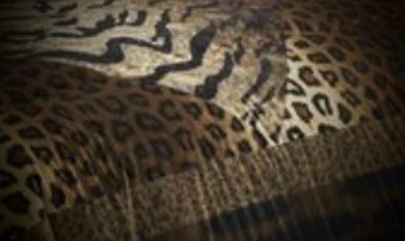 Is it time for bed yet!?!