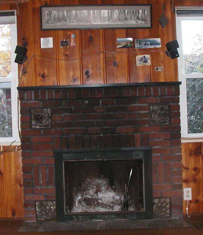 Oakdale EPI3C Wood Burning Fireplace Insert | Napoleon® Fireplaces
