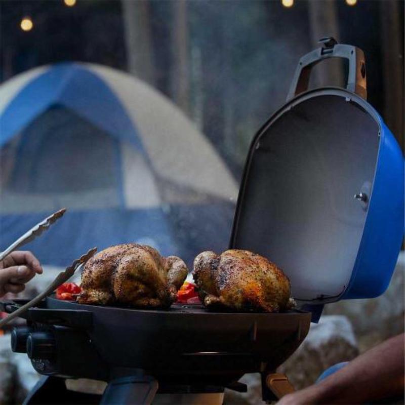 NAPOLEON TravelQ 240 1-Burner Portable Propane Gas Grill in Blue
