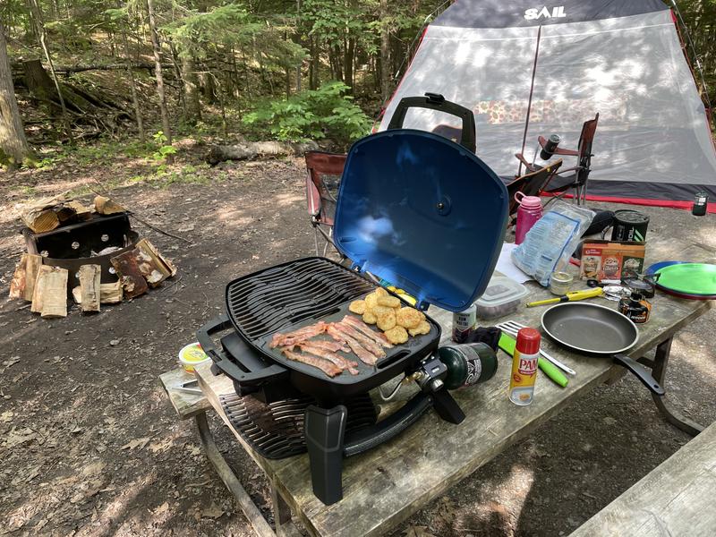 TravelQ 285 Red Portable Gas BBQ TQ285 RD 1 A