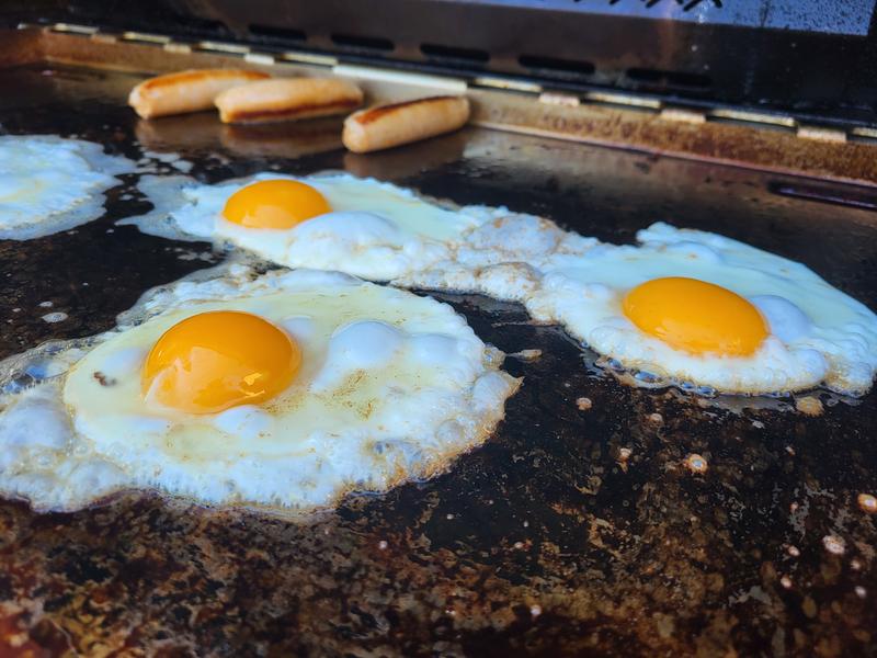 Stainless Steel Griddle Insert - 56093 | Napoleon