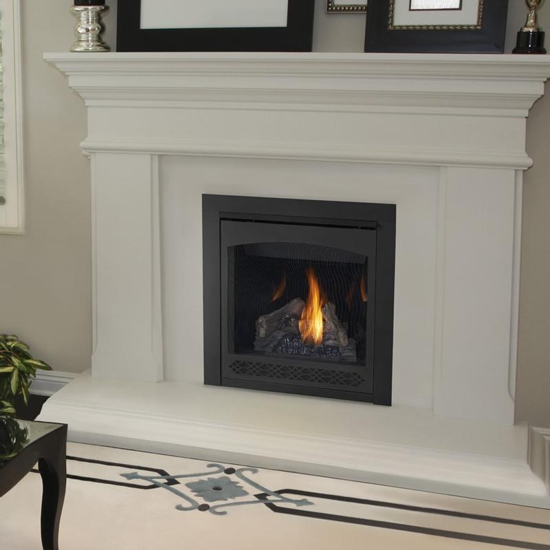 Ascent 46 - B46NTRE | Napoleon