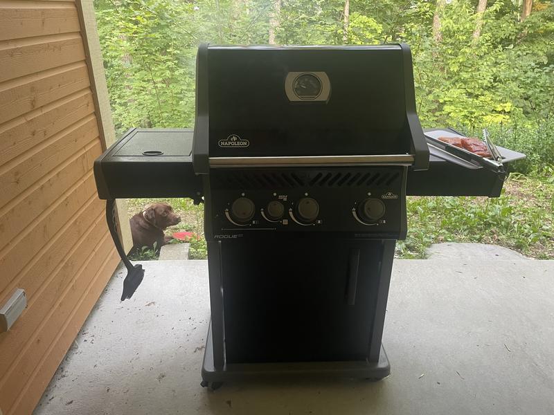 Photo - commentaire&nbsp;6.