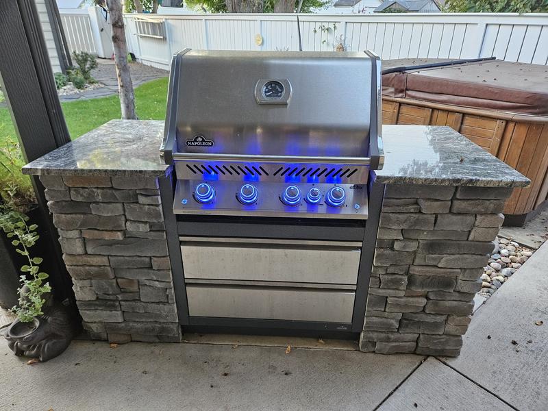 Built-in Prestige PRO 500 RB BIPRO500RBNSS-3 Napoleon