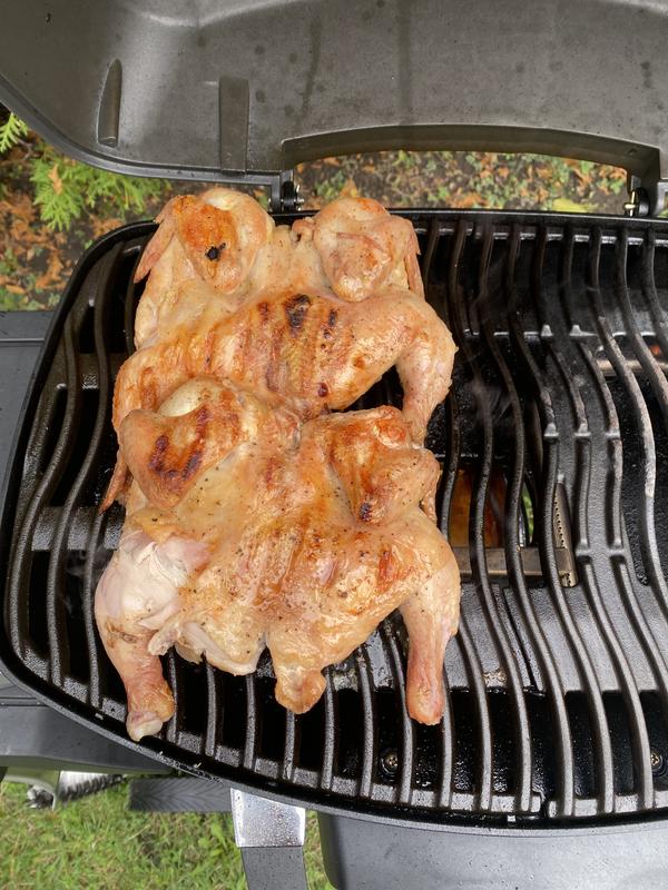 Napoleon Phantom TravelQ Pro 285 Liquid Propane Grill | Abt
