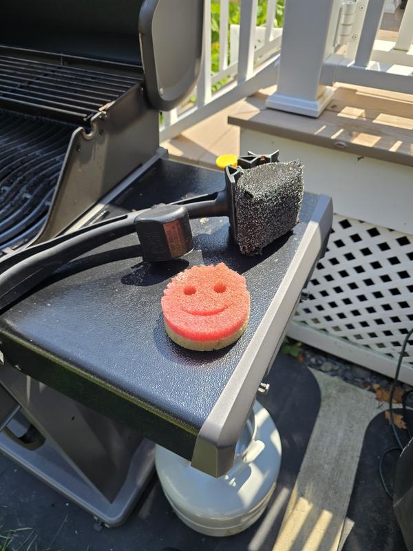 Nettoyant Spray Napoleon Pour Barbecues Acier émaillé - Dégraissant Efficace Et Rapide