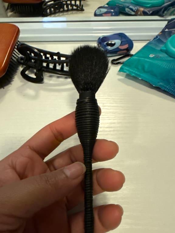 blush brush