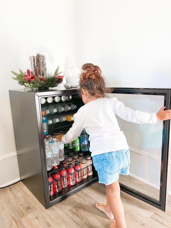 Love this fridge!