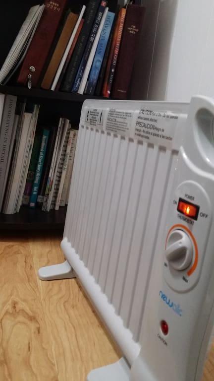NewAir Up to 400-Watt Oil-filled Radiant Flat Panel Indoor Electric Space  Heater with Thermostat at Lowes.com