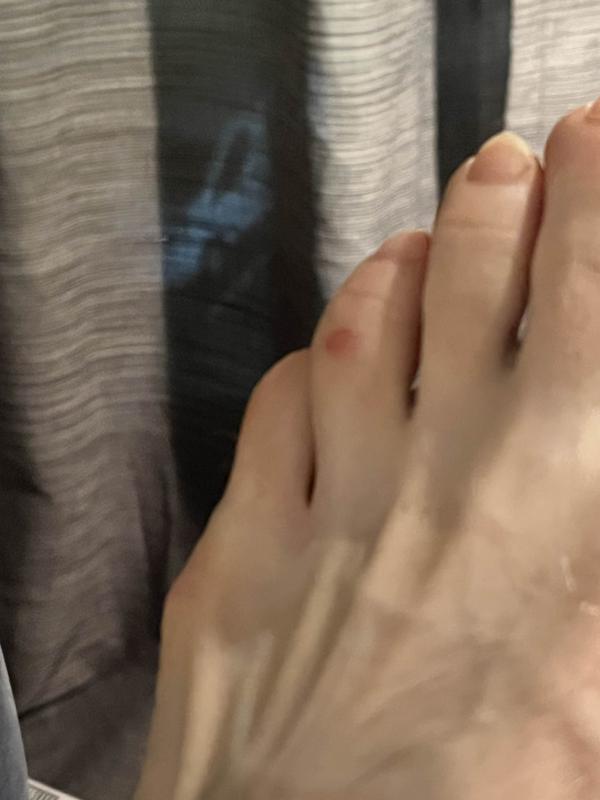 Photo submitted with review of product