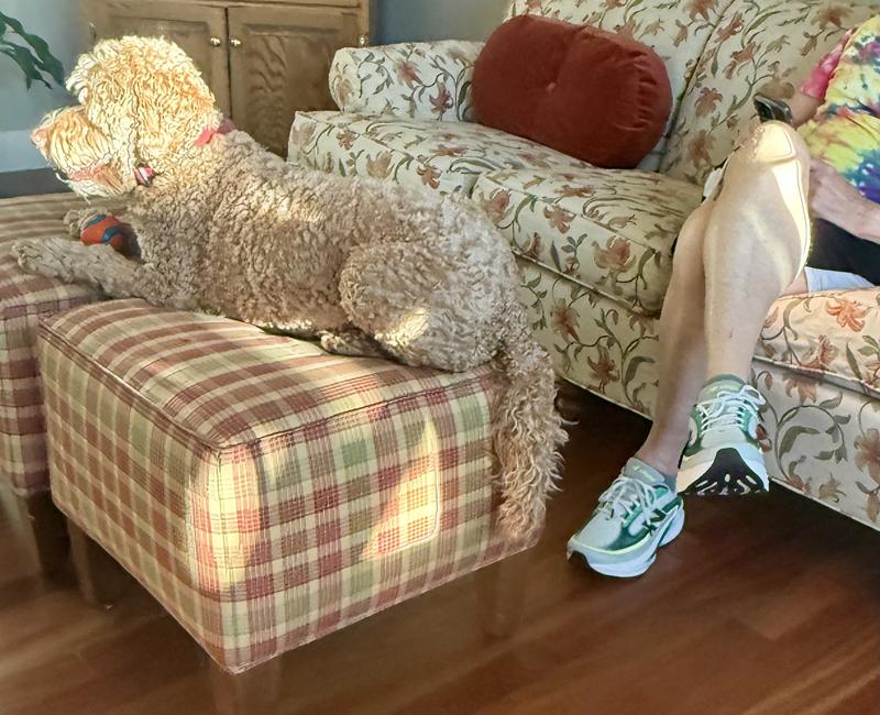 Photo submitted with review of product