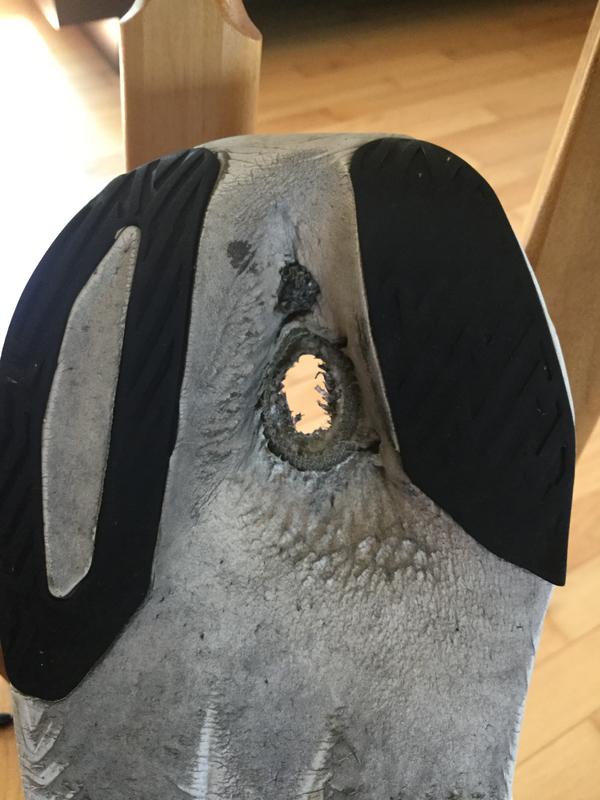 Photo submitted with review of product