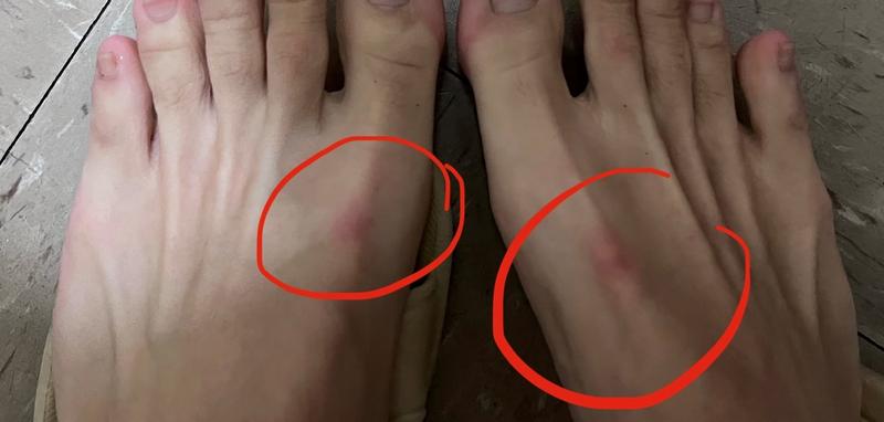 Photo submitted with review of product