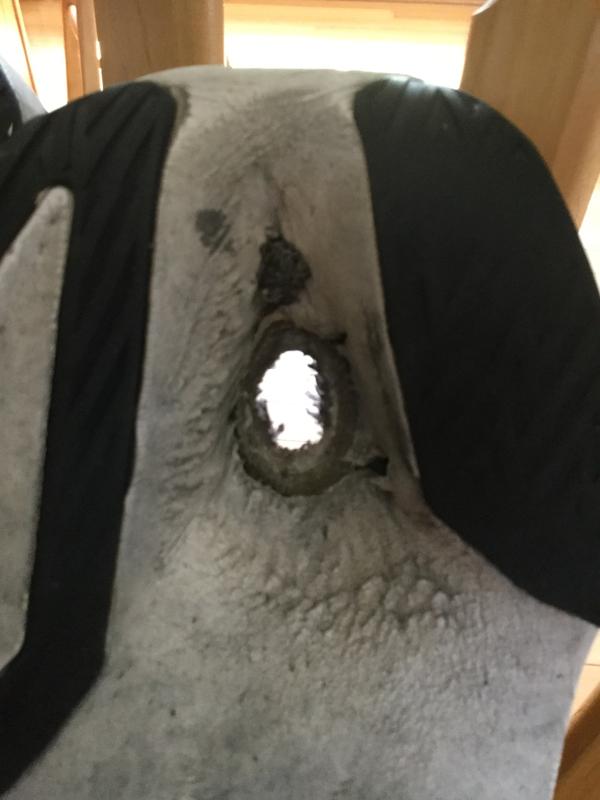 Photo submitted with review of product