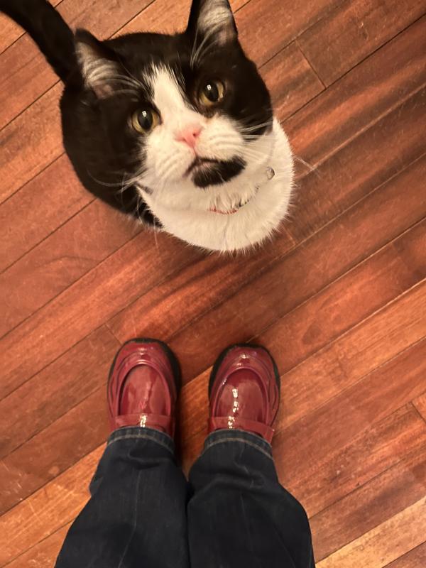 Review Thumbnail Image 1 379982631