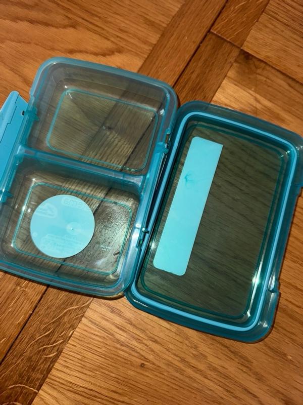 Sistema To Go 1.5-Cup Small Split Food Storage Container - Macy's