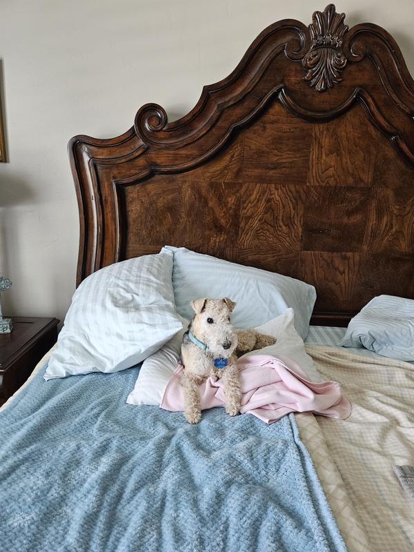 My side of the bed!