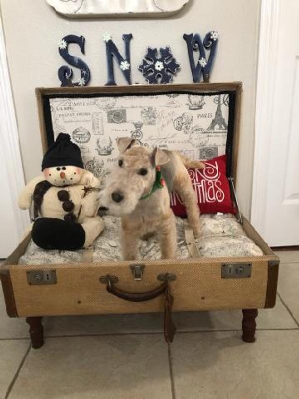 Libby's ready for a winter vacation!