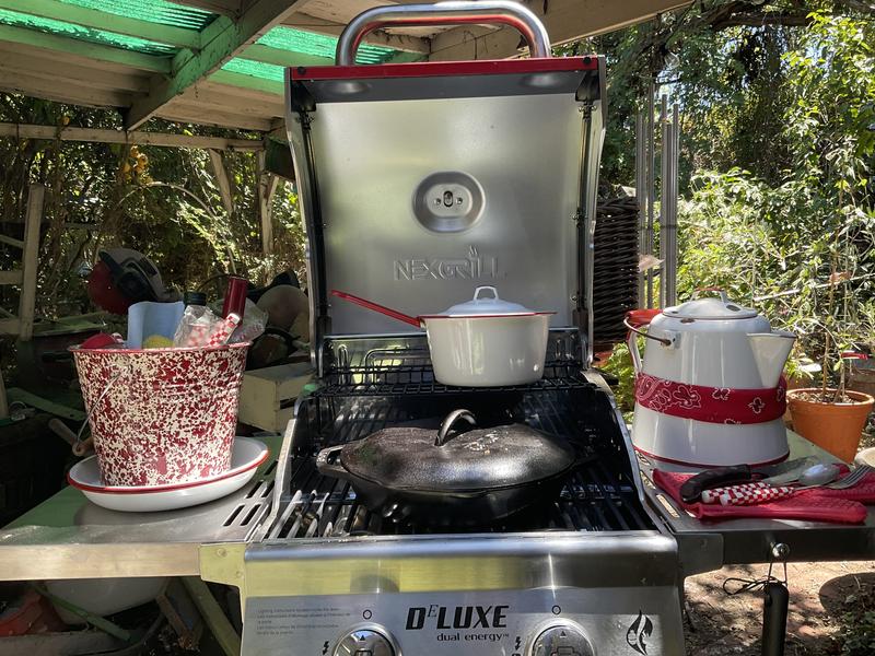 DEluxe 2-Burner Grill | Nexgrill