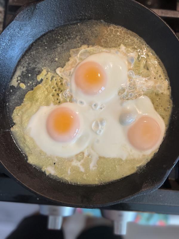 Free Range Eggs – Nellie's Free Range