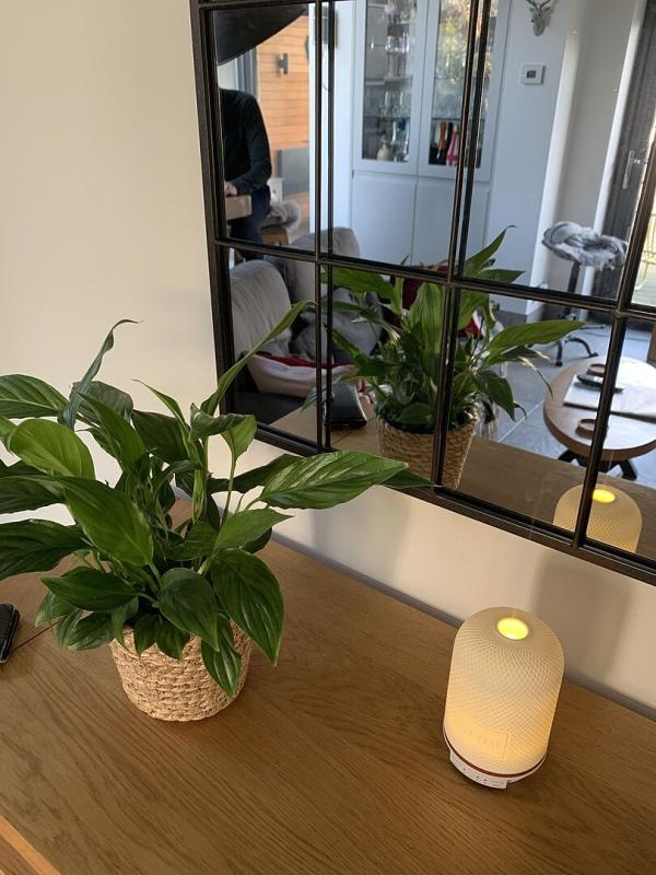 Customer photo for "I love the NEON essential"