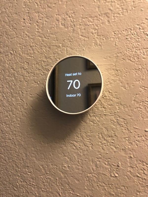 Nest on our wall