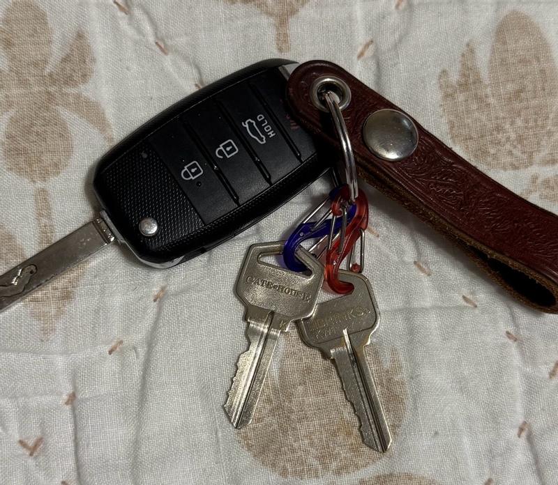 Nite Ize Assorted Stainless Steel Keychain with 6 Colorful S