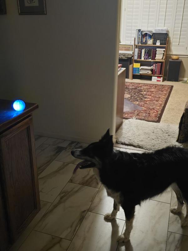 User uploaded product image