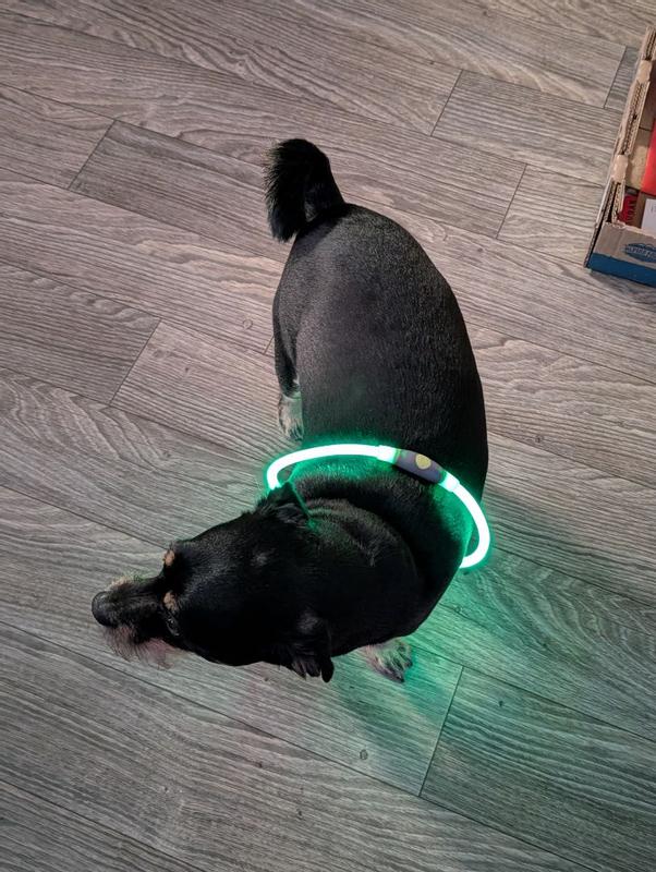 NiteHowl® Rechargeable LED Safety Necklace
