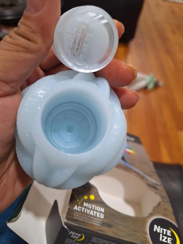 Photo submitted with review of product
